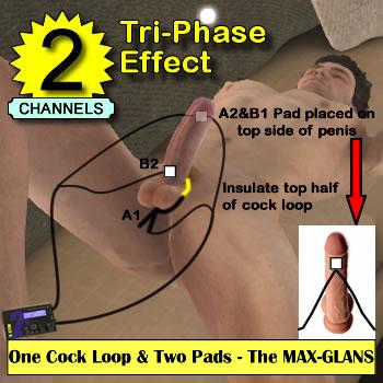One cock loop around balls, one pad on base cock and another on or under glans
